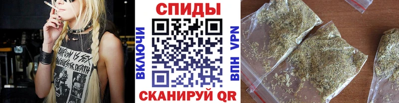 Бутират буратино  цены   Дивногорск 