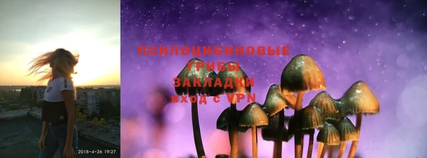 таблы Лиски
