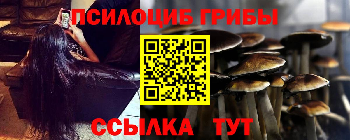 Галлюциногенные грибы Psilocybine cubensis Дивногорск